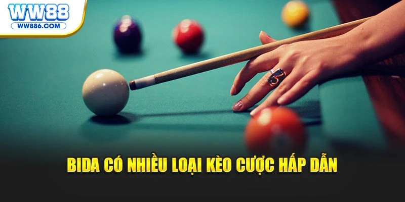 Bida có nhiều loại kèo cược hấp dẫn