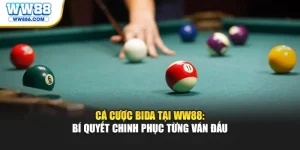Cá Cược Bida Tại WW88