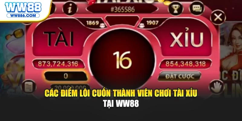 Các điểm lôi cuốn thành viên chơi Tài Xỉu tại WW88