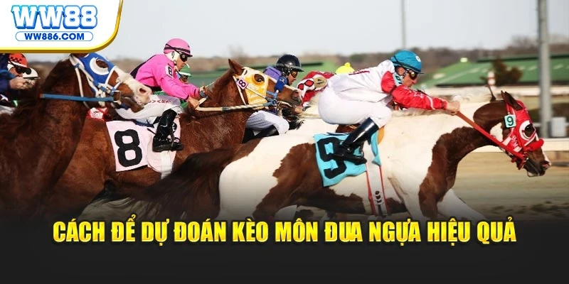 Cách để dự đoán kèo môn đua ngựa hiệu quả