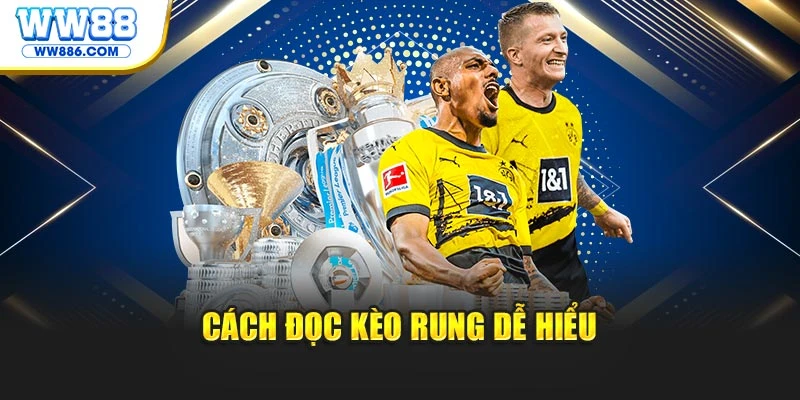 Cách đọc kèo rung dễ hiểu