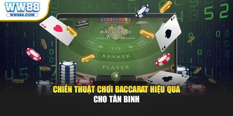 Chiến thuật chơi Baccarat hiệu quả cho tân binh