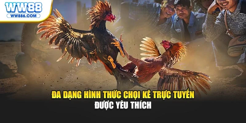 Đa dạng hình thức chọi kê trực tuyến được yêu thích