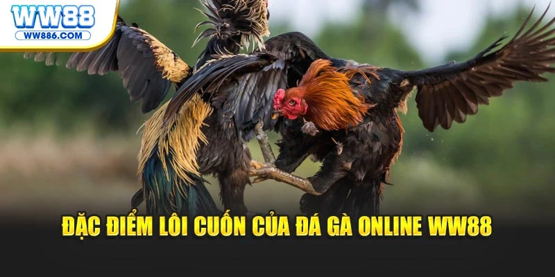Đặc điểm lôi cuốn của đá gà online WW88