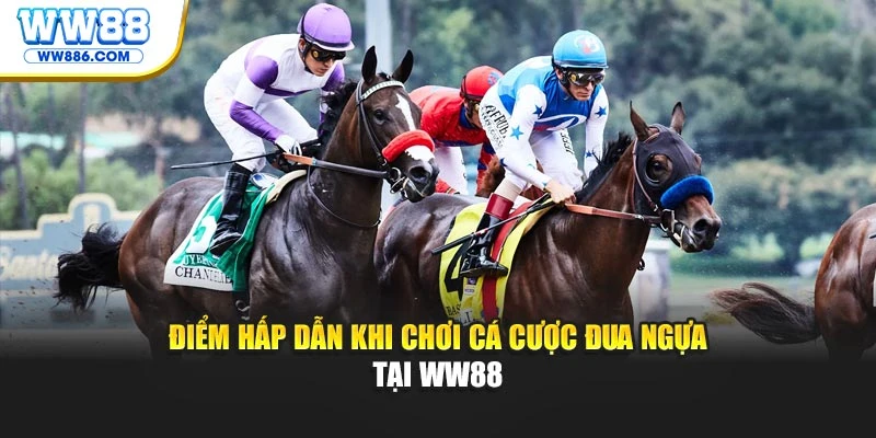 Điểm hấp dẫn khi chơi cá cược đua ngựa tại WW88