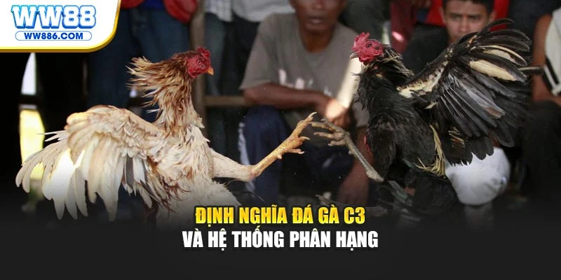 Định nghĩa đá gà C3 và hệ thống phân hạng