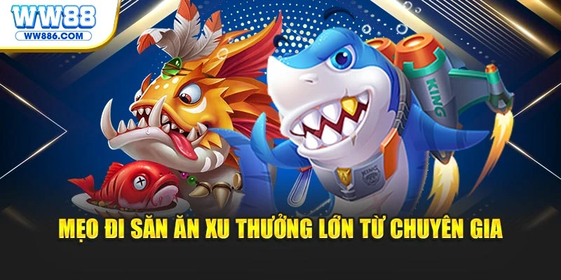 Mẹo đi săn ăn xu thưởng lớn từ chuyên gia