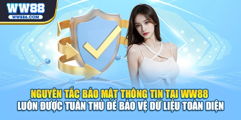 Nguyên tắc bảo mật thông tin tại WW88 luôn được tuân thủ để bảo vệ dữ liệu toàn diện