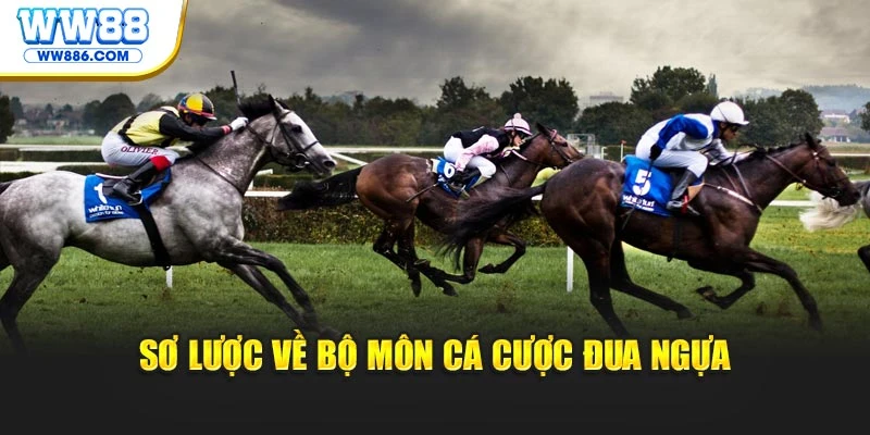 Sơ lược về bộ môn cá cược đua ngựa