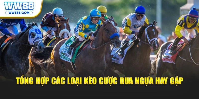 Tổng hợp các loại kèo cược đua ngựa hay gặp
