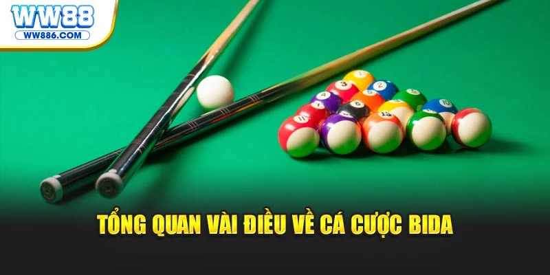 Tổng quan vài điều về cá cược bida